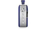 saregama carvaan-gift for music lovers image