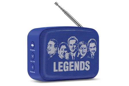 saregama carvaan-gift for music lovers image