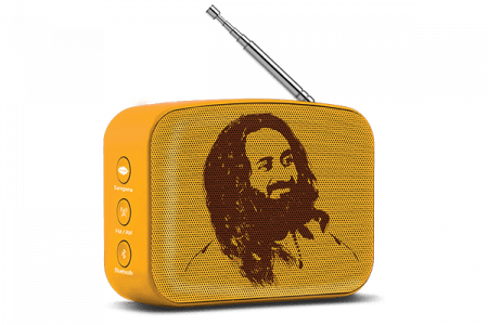 saregama carvaan-gift for music lovers image