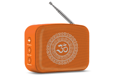 saregama carvaan-gift for music lovers image