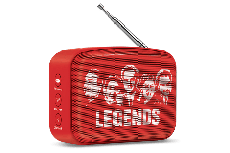 saregama carvaan-gift for music lovers image