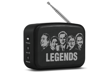 saregama carvaan-gift for music lovers image