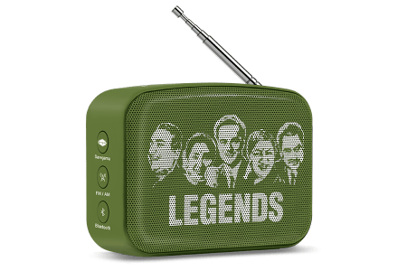 saregama carvaan-gift for music lovers image