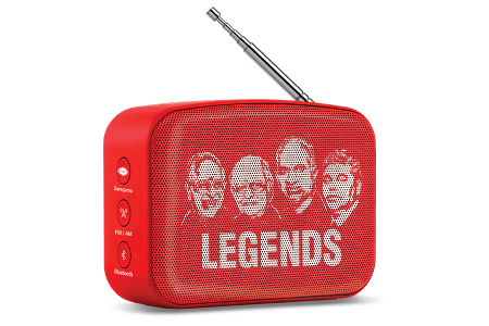 saregama carvaan-gift for music lovers image