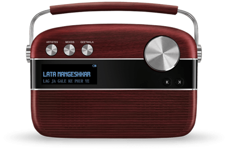 saregama carvaan-gift for music lovers image