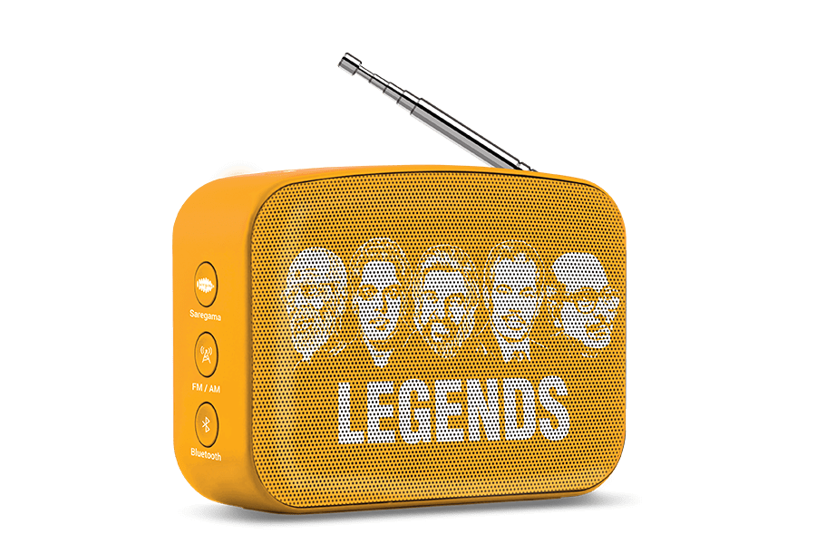 saregama carvaan-gift for music lovers image
